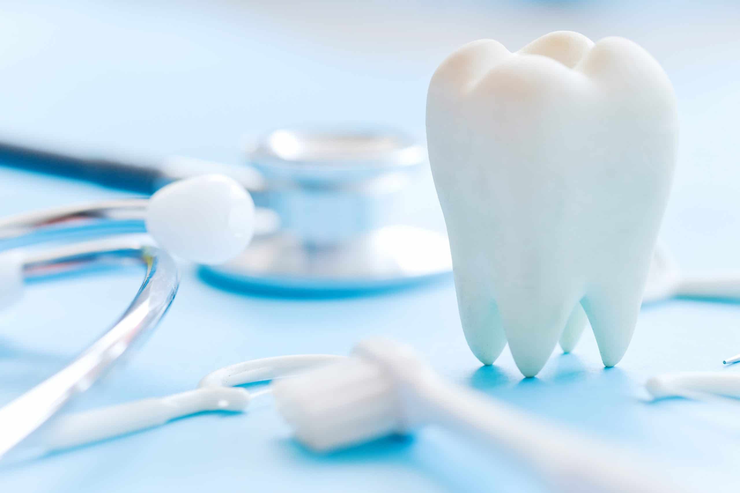 Dental model and dental equipment on blue background